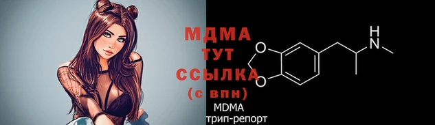 дживик Надым