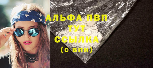дживик Надым