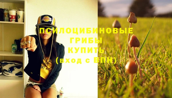 дживик Надым